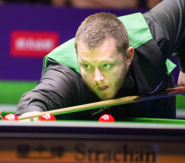 就会从一句 就会从一句